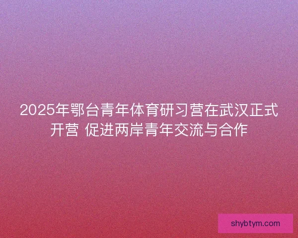 2025年鄂台青年体育研习营在武汉正式开营 促进两岸青年交流与合作